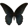 Стикер 57 🦋 Набор эмоджи с бабочками