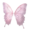 🦋 Эмодзи «Butterfly ?» для Telegram