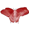 🦋 Эмодзи «Butterfly ?» для Telegram