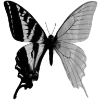 🦋 Эмодзи «Butterfly ?» для Telegram