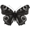🦋 Эмодзи «Butterfly ?» для Telegram