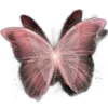 🦋 Эмодзи «Butterfly ?» для Telegram
