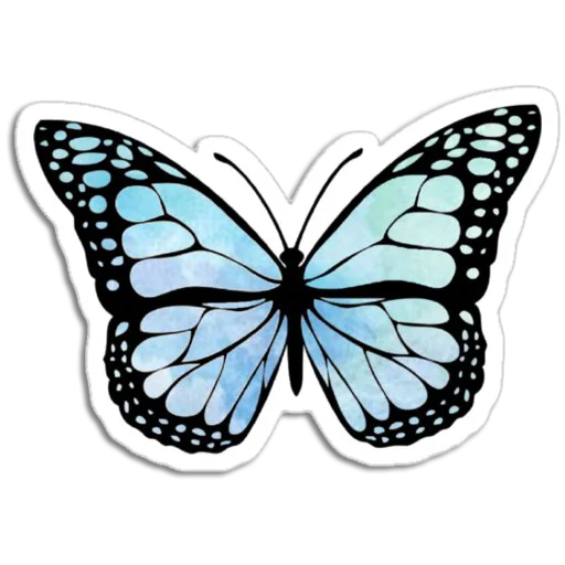 🦋 Стикер «Butterfly ਤਿਤਲੀ» для Telegram