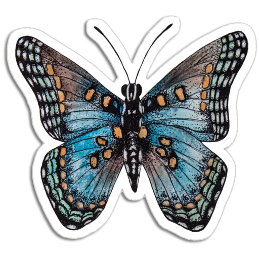 🦋 Стикер «Butterfly ਤਿਤਲੀ» для Telegram