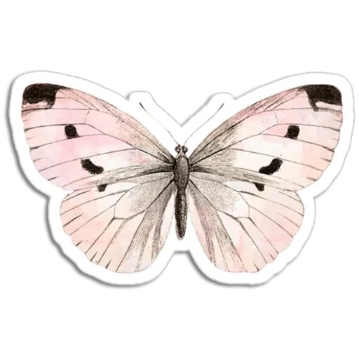 🦋 Стикер «Butterfly ਤਿਤਲੀ» для Telegram