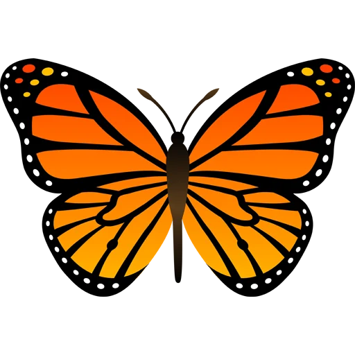 🦋 Стикер «Butterfly ਤਿਤਲੀ» для Telegram
