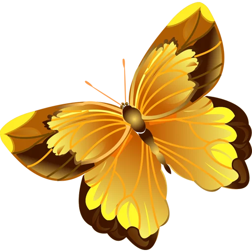 🦋 Стикер «Butterfly ਤਿਤਲੀ» для Telegram