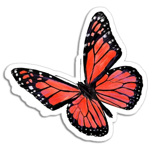 🦋 Стикер «Butterfly ਤਿਤਲੀ» для Telegram