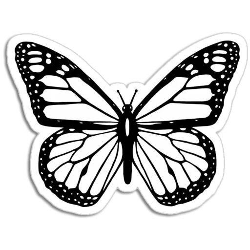 🦋 Стикер «Butterfly ਤਿਤਲੀ» для Telegram