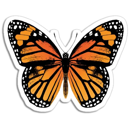 🦋 Стикер «Butterfly ਤਿਤਲੀ» для Telegram