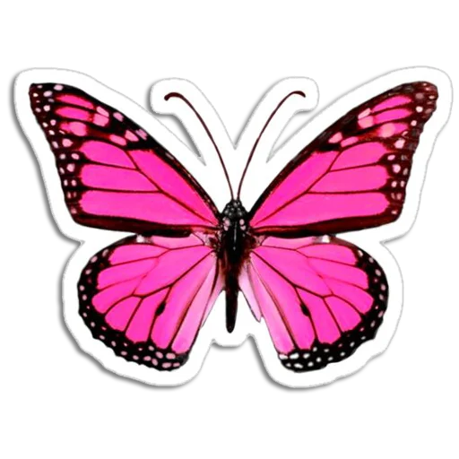 🦋 Стикер «Butterfly ਤਿਤਲੀ» для Telegram