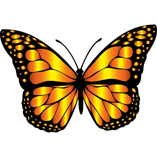 🦋 Стикер «Butterfly ਤਿਤਲੀ» для Telegram