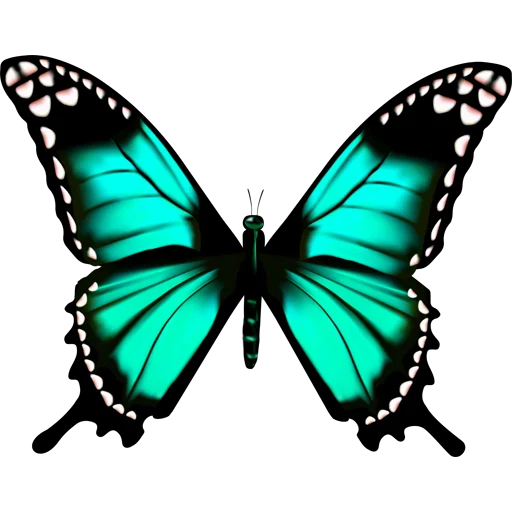 🦋 Стикер «Butterfly ਤਿਤਲੀ» для Telegram