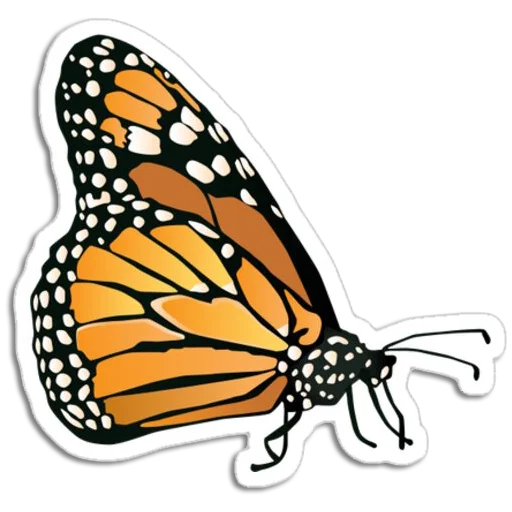 🦋 Стикер «Butterfly ਤਿਤਲੀ» для Telegram