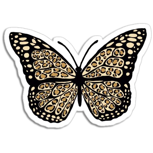 🦋 Стикер «Butterfly ਤਿਤਲੀ» для Telegram