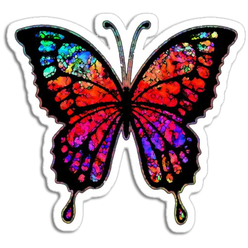 🦋 Стикер «Butterfly ਤਿਤਲੀ» для Telegram