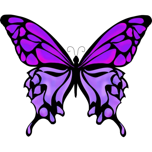 🦋 Стикер «Butterfly ਤਿਤਲੀ» для Telegram