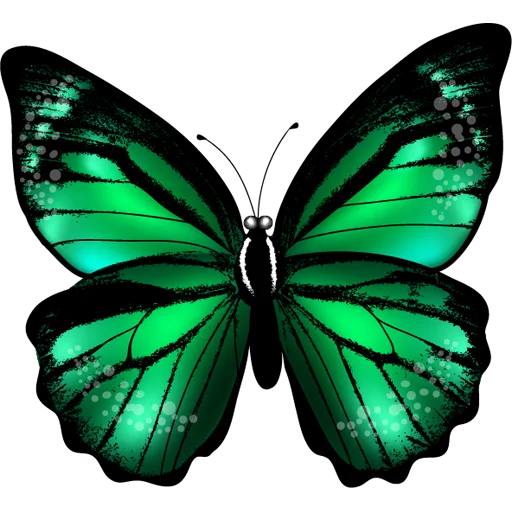 🦋 Стикер «Butterfly ਤਿਤਲੀ» для Telegram