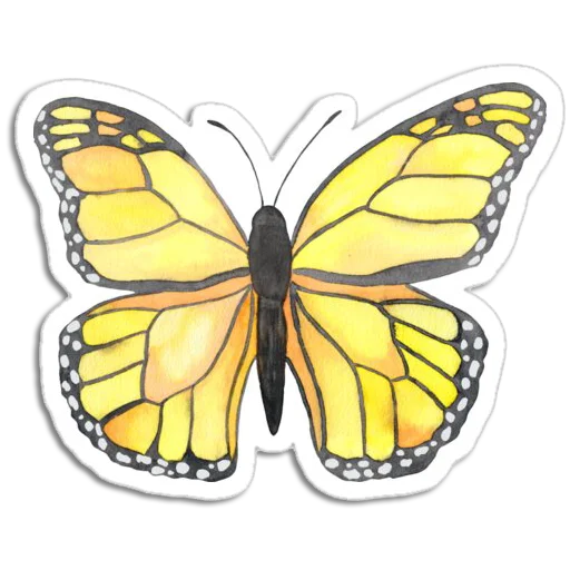 🦋 Стикер «Butterfly ਤਿਤਲੀ» для Telegram