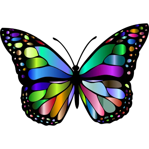 🦋 Стикер «Butterfly ਤਿਤਲੀ» для Telegram