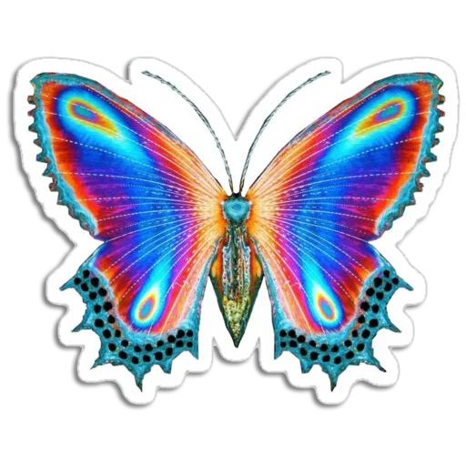 🦋 Стикер «Butterfly ਤਿਤਲੀ» для Telegram