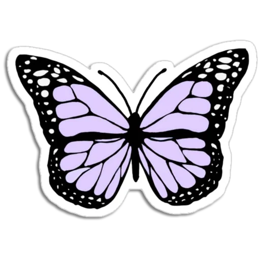 🦋 Стикер «Butterfly ਤਿਤਲੀ» для Telegram