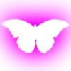 Стикер 54 Minimalism #color #pink #decor
