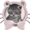 Стикер 9 ᥴ᧐Ⲙf᧐Rᴛ