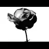 Стикер 57 bw