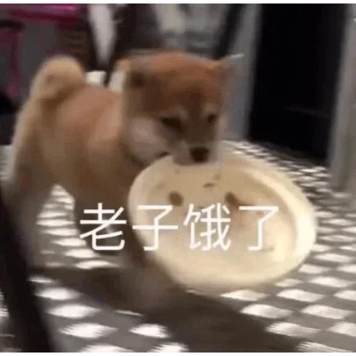😂 Стикер «爆笑乐园» для Telegram