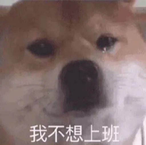 😂 Стикер «爆笑乐园» для Telegram