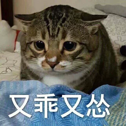 😂 Стикер «爆笑乐园» для Telegram