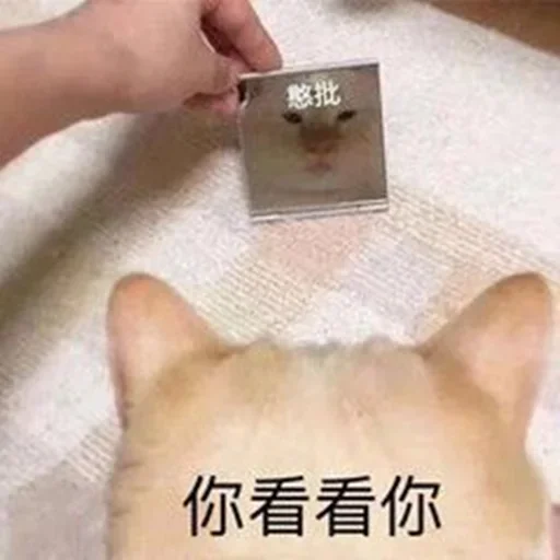 😂 Стикер «爆笑乐园» для Telegram