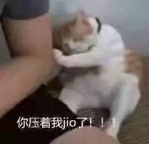 😂 Стикер «爆笑乐园» для Telegram