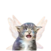 Стикер 5 😿 Няфф random emoji