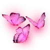 Стикер 14 😿 Няфф random emoji