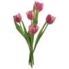 Стикер 34 Softcore