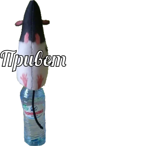 👋 Стикер «А чё?» для Telegram