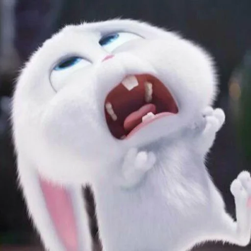 🐰 Стикер «snowball rabbit» для Telegram