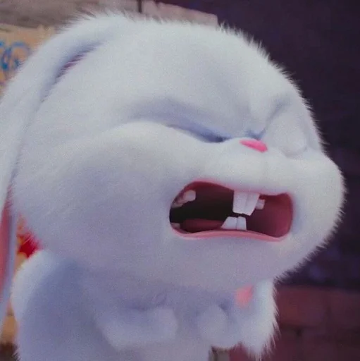 🐰 Стикер «snowball rabbit» для Telegram