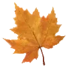 Стикер 4 School Autumn Pack
