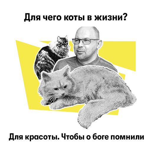 🐱 Стикер «Иванов!» для Telegram