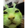 Стикер 10 Бзебзебзебзебзебзебзебзебзе
