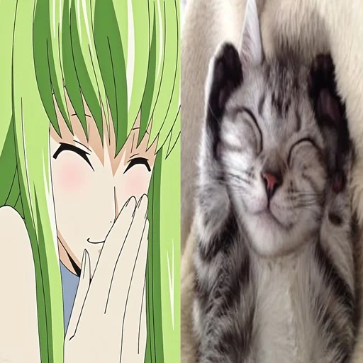 🌟 Стикер «C.C Code geass» для Telegram