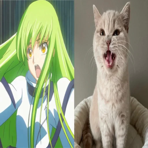 🌟 Стикер «C.C Code geass» для Telegram