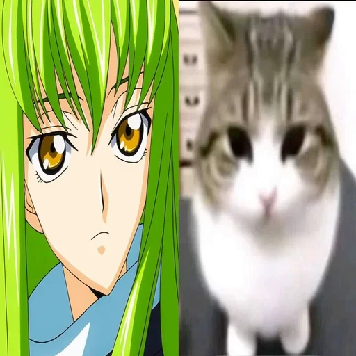 🌟 Стикер «C.C Code geass» для Telegram