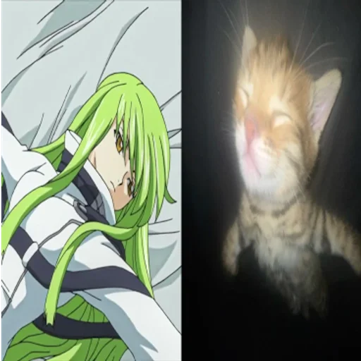 🌟 Стикер «C.C Code geass» для Telegram