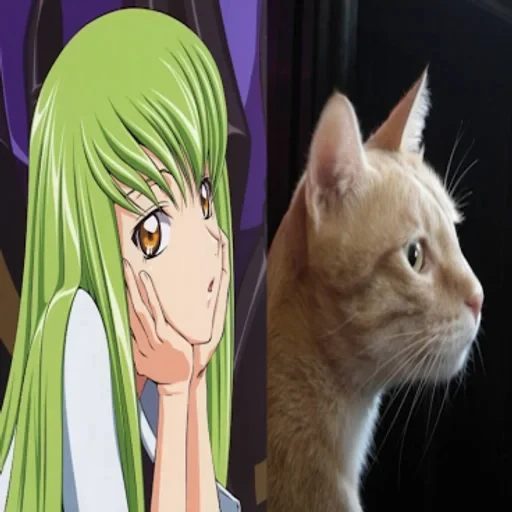 🌟 Стикер «C.C Code geass» для Telegram