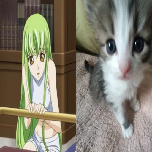 🌟 Стикер «C.C Code geass» для Telegram