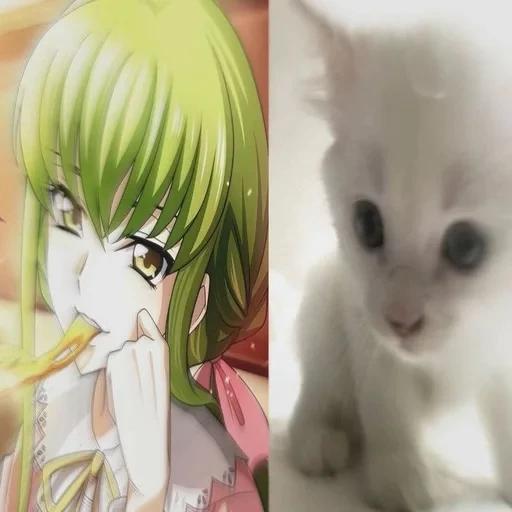 🌟 Стикер «C.C Code geass» для Telegram